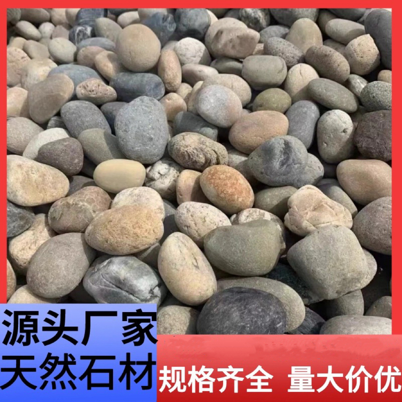 Anhui River Pebbles, Cobblestones, Transformer 5-8cm Pebbles, Riverbank Paving, Landscaping Pebbles, River Pebbles