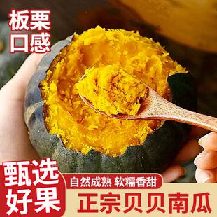 【带箱5斤】正宗贝贝南瓜