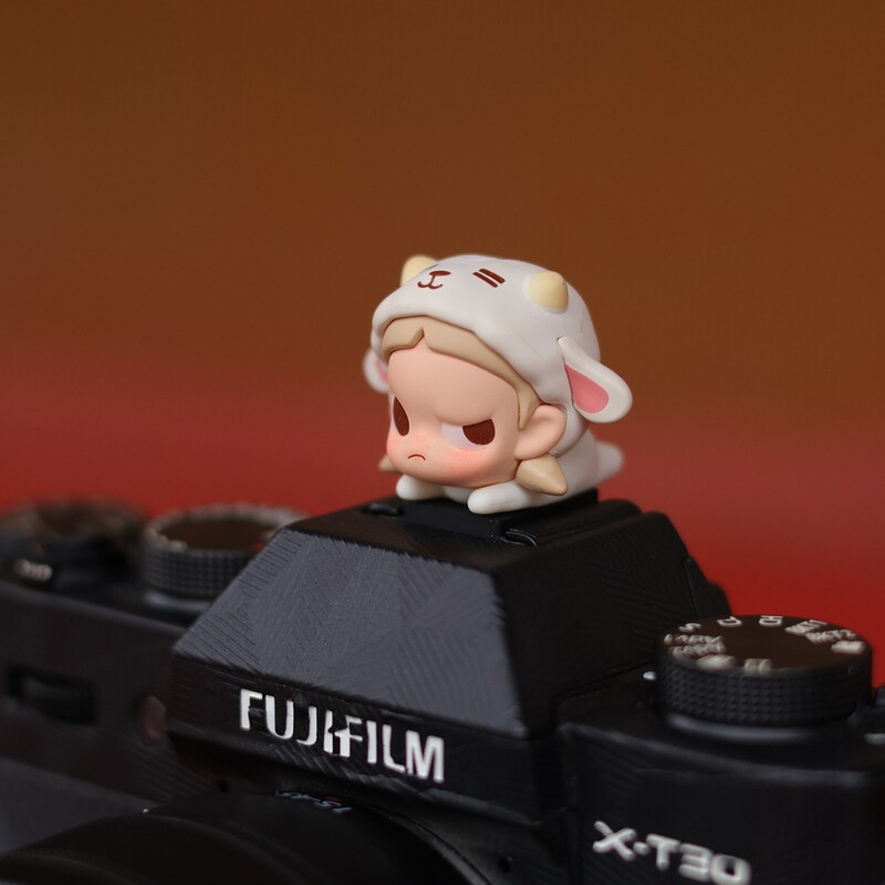 【Papa Little Sheep】Camera Hot Shoe Cover Suitable for Fujifilm Xt50, Canon R50, Nikon Z3, Sony Zv-E10 Accessories 【Papa Little Sheep】Camera Hot Shoe Cover Suitable for Fujifilm Xt50, Canon R50, Nikon Z3, Sony Zv-E10 Accessories