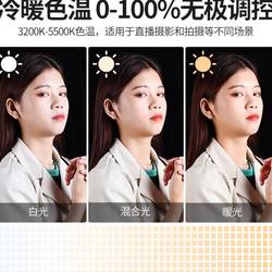 휴대폰 채우기의 라이브 방송 라이트 앵커 미용 및 피부 회춘 사진 실내 사격 가벼운 대형 조리개 반지 조명 조명