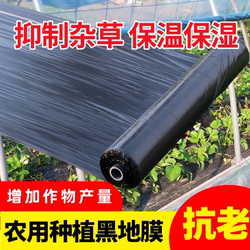 Agricultural black plastic film greenhouse planting special new material weeding insulation moisture thickened anti-aging plastic film