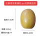 Highly Realistic Fruit Model, Simulated Zespri Golden Kiwi Fruit, Fake Yellow Heart Kiwi Fruit Prop