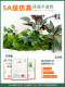 Artificial Green Plant Landscaping Combination for Indoor Large Floor-Standing Fake Plant Decoration, Corner Landscape Ornament, Potted Plant