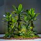 Simulated banana tree high-end light luxury large plant bionic fake tree green plant indoor living room landscaping decoration ornaments