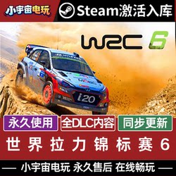 Steam Genuine Wrc6 Fia World Rally Championship 6 China Region Pc Activation Code Cdkey