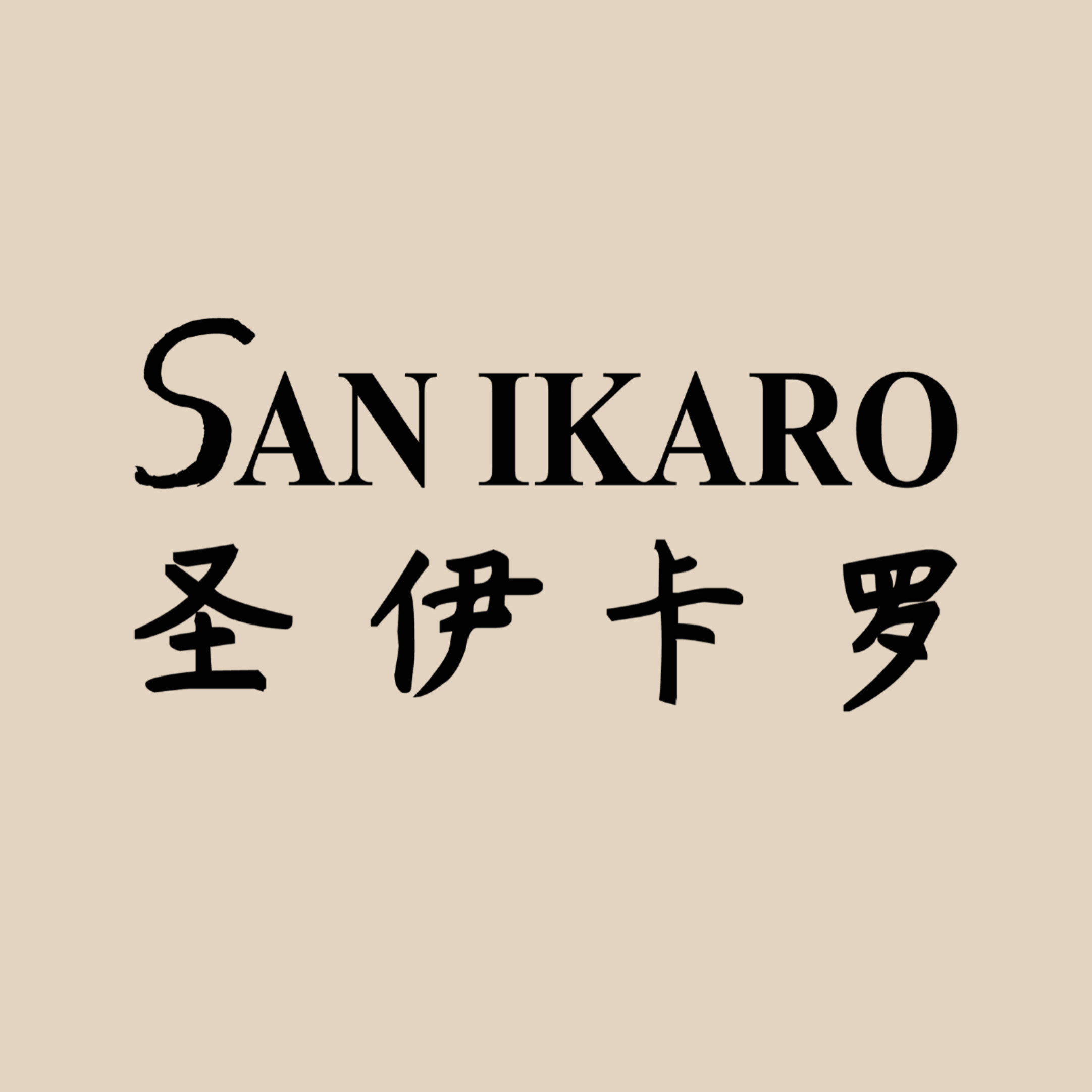 圣伊卡罗个人护理企业店