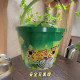 Mosquito Coil Holder with Lid, Portable, Safe Ash Catcher, Anti-Scald, Fireproof Storage Box, Enlarged and Deepened, Special New Type Placement Container
