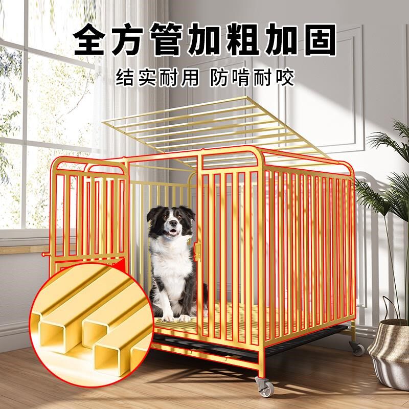 如何选择一款合适的家用狗笼子?2026年的趋势是什么?-狗笼子-淘宝百科网