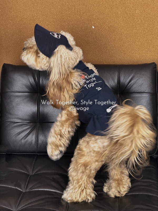 Iwage 2026 French-Style Stylish Vest with Small Skirt, Dog Vest, Sun Protection Vest, Dog Mini Skirt