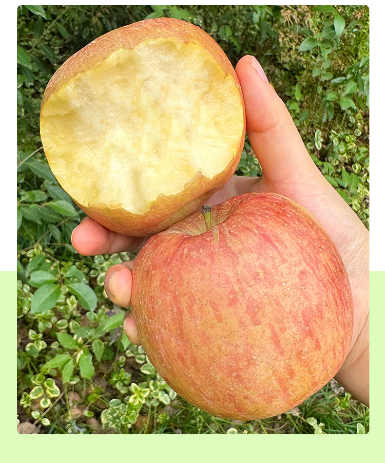 Яблоки Red Fuji Ugly Apple 1.36 кг