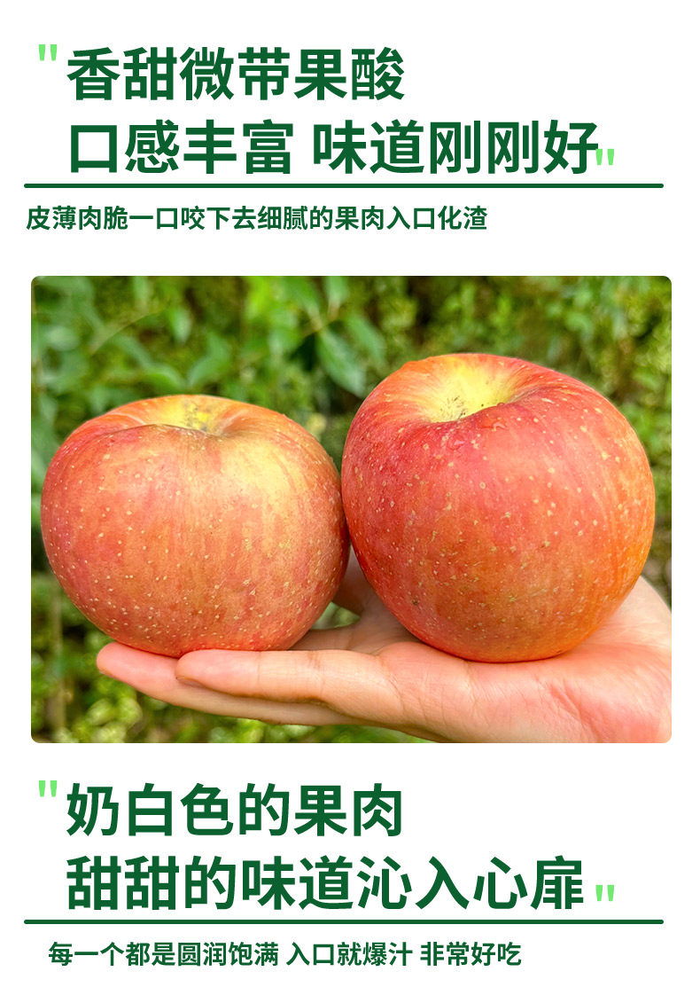 Яблоки Red Fuji Ugly Apple 1.36 кг