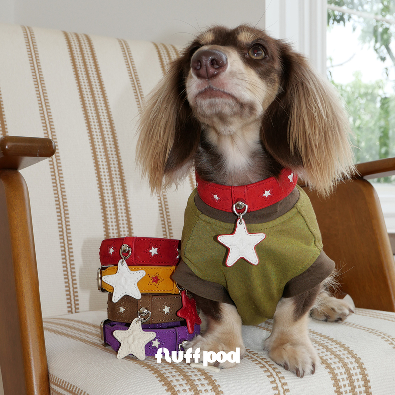 Fluff Pod Star Whisper Series Dog Collar for Dachshunds and Small to Medium Dogs, Pet Neck Collar, First Layer Cowhide Leather