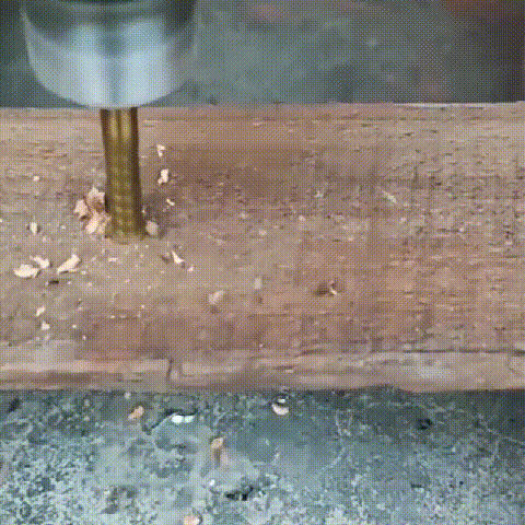 14.gif