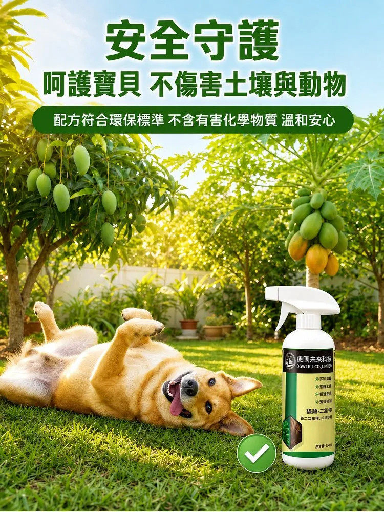 详情13.jpg