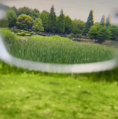 07.gif