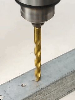 20260819_103540_005.gif