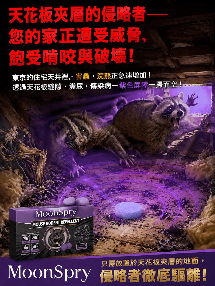 详情08.jpg