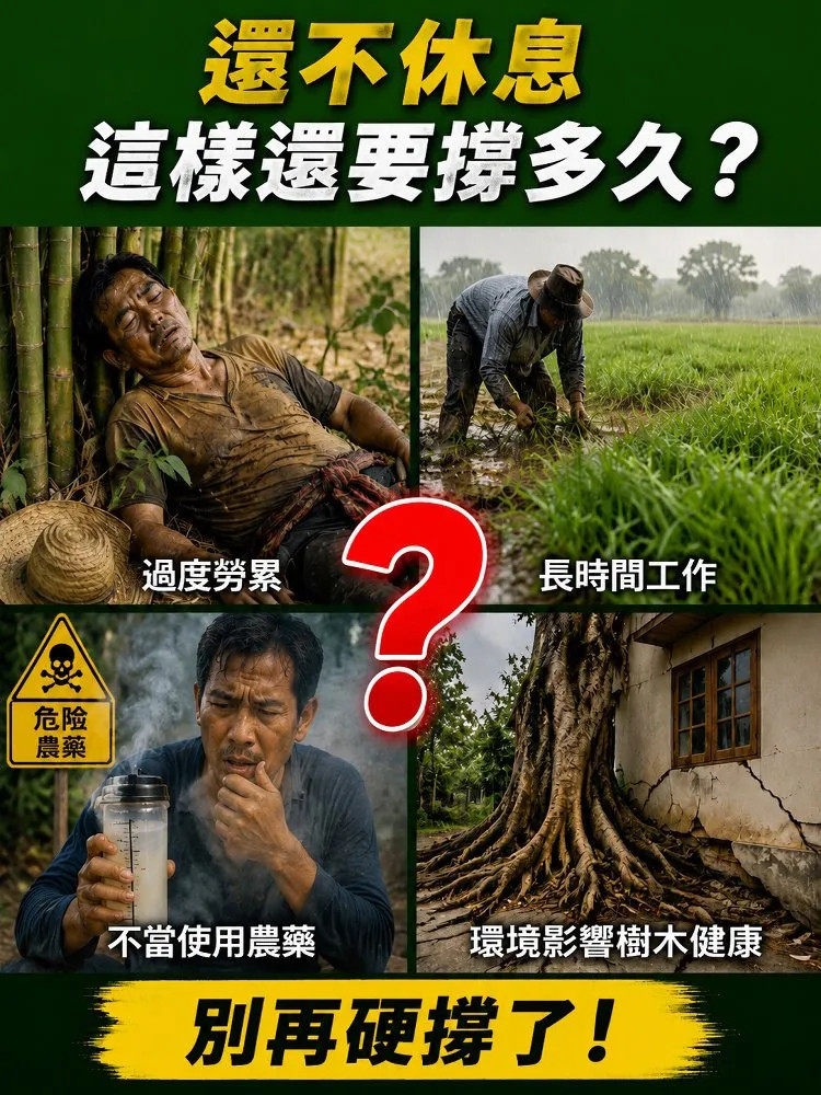 详情04.jpg