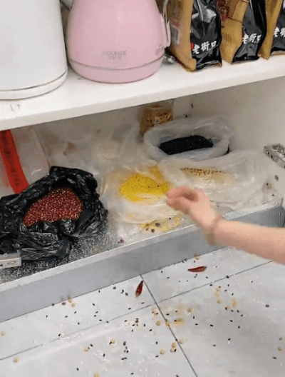 20260807_144919_003.gif