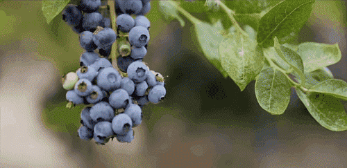 20260720_170504_078.gif