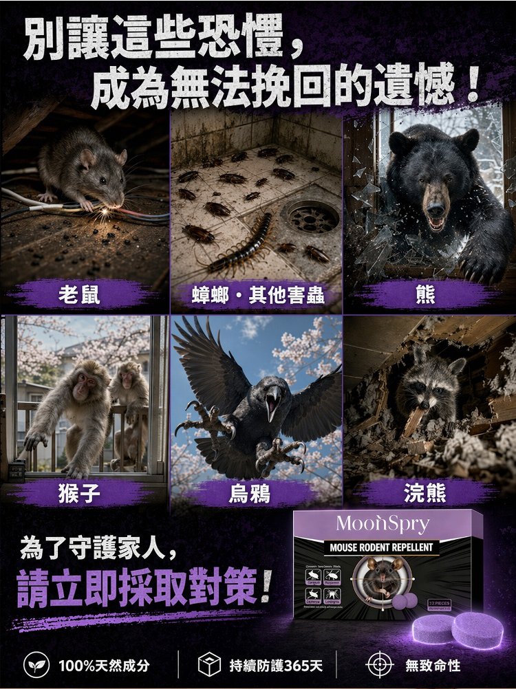 详情02.jpg