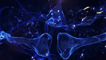 22.gif