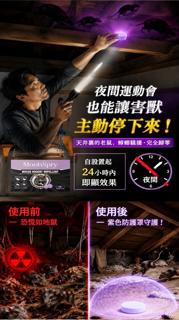 详情10.jpg