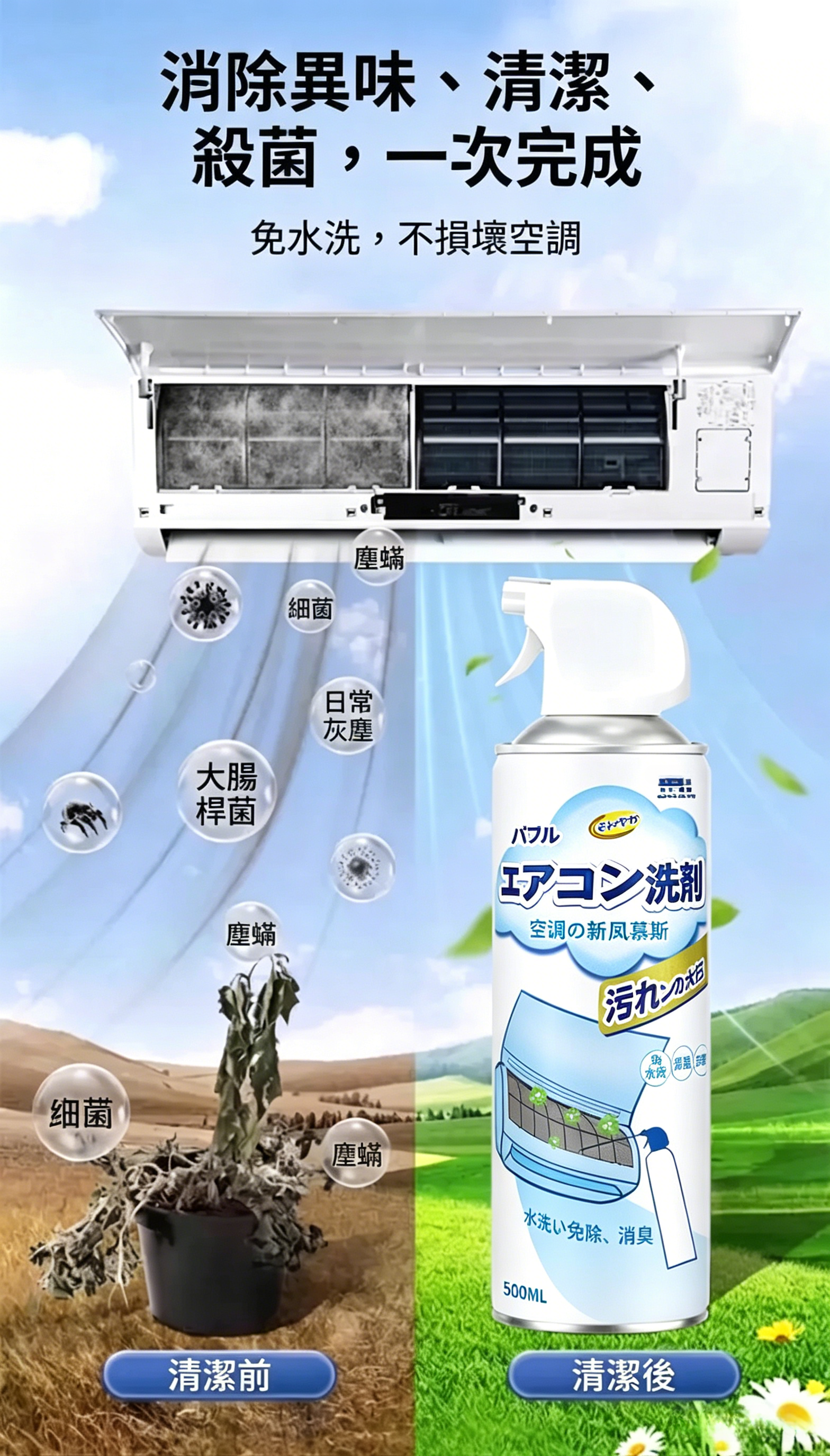 02 (1).png