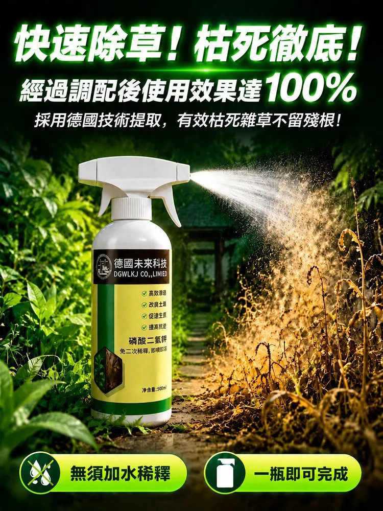 详情03.jpg
