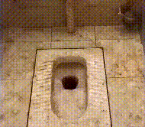 9ff8839ad1c117bb96e079a1b9837ed9.gif