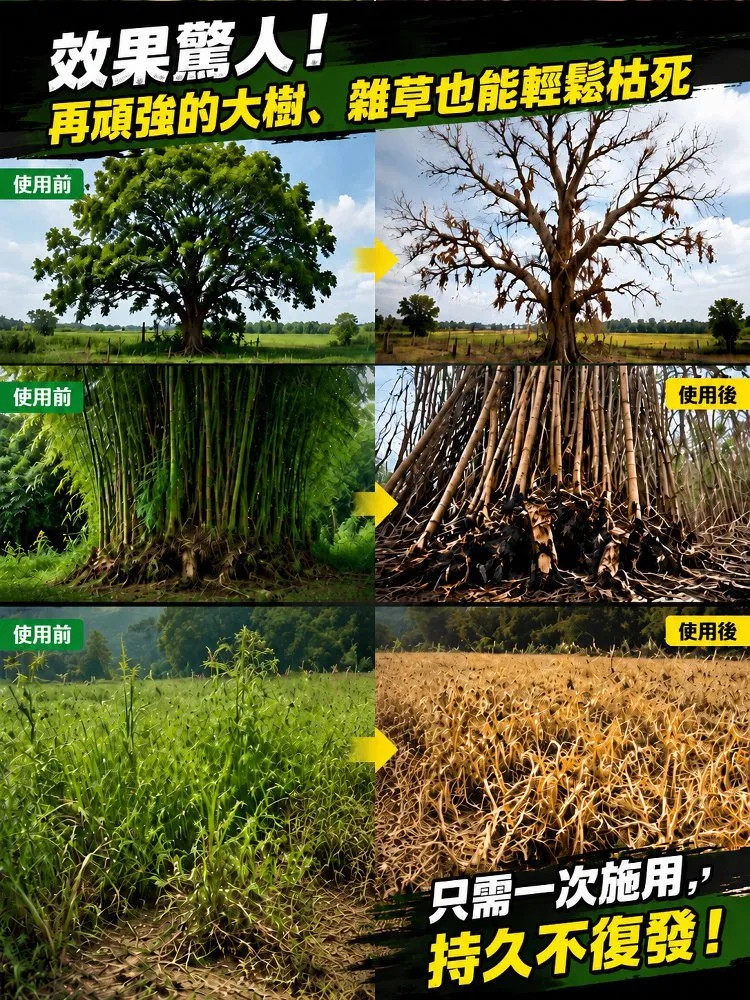 详情07.jpg