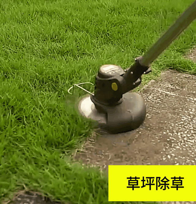 20260618_100247_080.gif