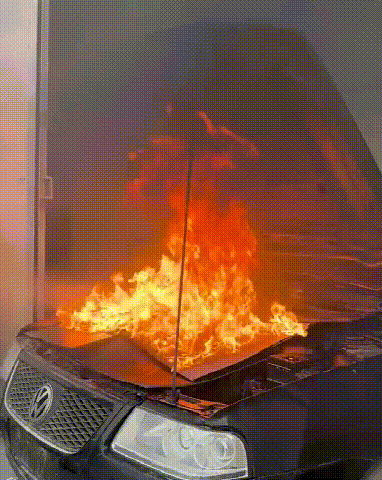 20260623_161859_010.gif