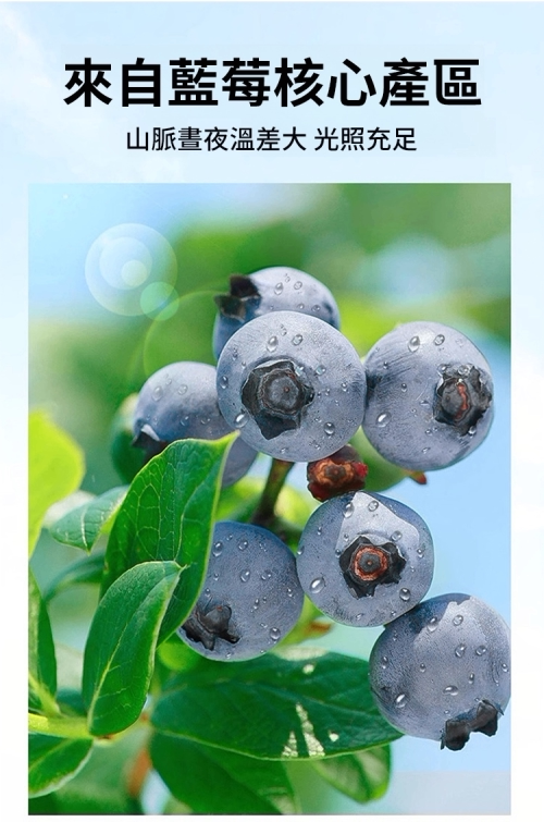 详情12.png