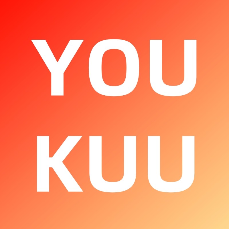岚图泰山优库改装的LOGO