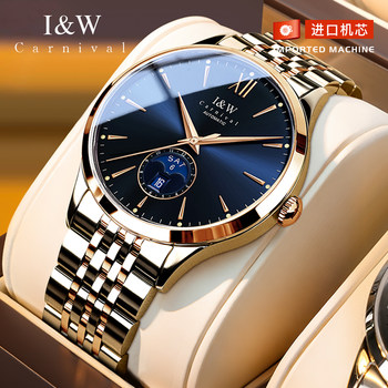 Swiss Genuine Iw Aiwochi Watch Men's New Fully Automatic Mechanical Watch Men's Luxury Brand Watch