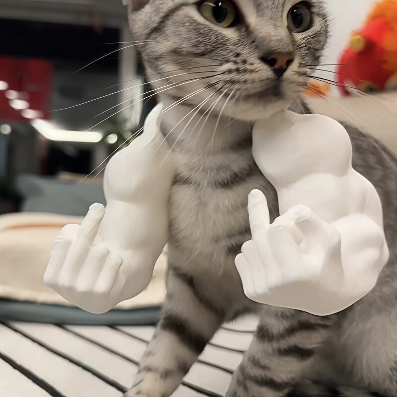 3D Printed Cat Muscle Arm Pendant Toy Pet Prank Funny Middle Finger Hanging Decoration Photo Prop Small Item