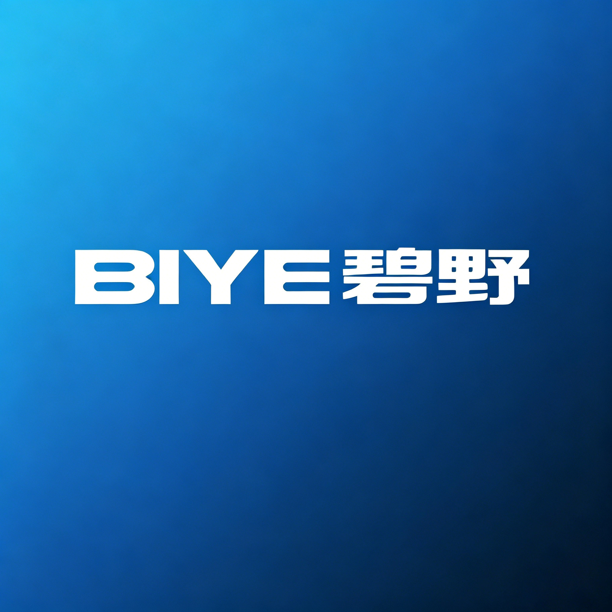 碧野BIYE商用厨房设备店