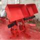 Double row green onion transplanting ZMP chrysanthemum machine for agricultural majors Shandong onion planting machinery