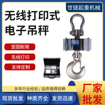 Industrial hook scale high temperature wireless printing electronic crane 10t15t20 tons wireless printing electronic crane scale