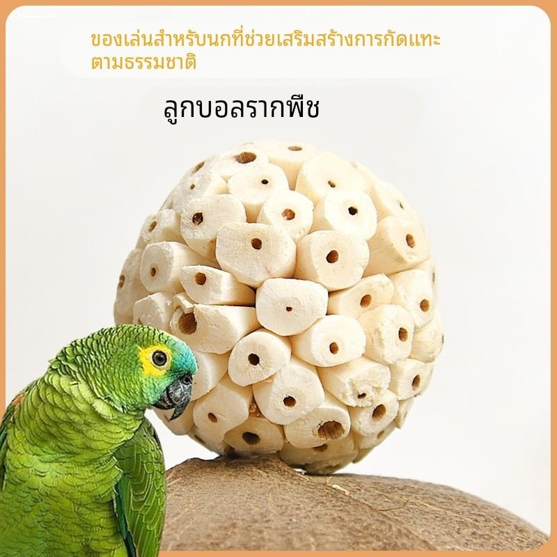Parrot chews and plays with grass ball, bird toy hair