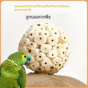 Parrot chews and plays with grass ball, bird toy hair