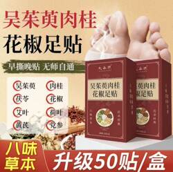 Northern Hemisphere Evodia, Cinnamon, and Sichuan Pepper Foot Patch - Authentic Vitality Poria and Eight Treasures Foot Patch with Herbal Essence for Warmth and Soothing Relief