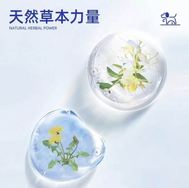 Pastoral Wealth Pet Guardian: Specialized Water-Infused Oral Solution for Cats and Dogs, Scientifically Formulated with Plant Extracts to Care for Pet Health