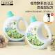 Spicy Mom Captain Mountain Cangzi Plant Enzyme Oil Remover 2 Bottles 2.5kg Free Refillable Bottle Concentrated Formula Plant Extract