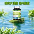 健安大健康 海外膳食的LOGO