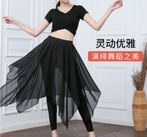 Dynamic and elegant Latin dance skirt Skirt Skirt Ballet teacher skirt Irregular skirt Hip towel Body skirt Gauze skirt