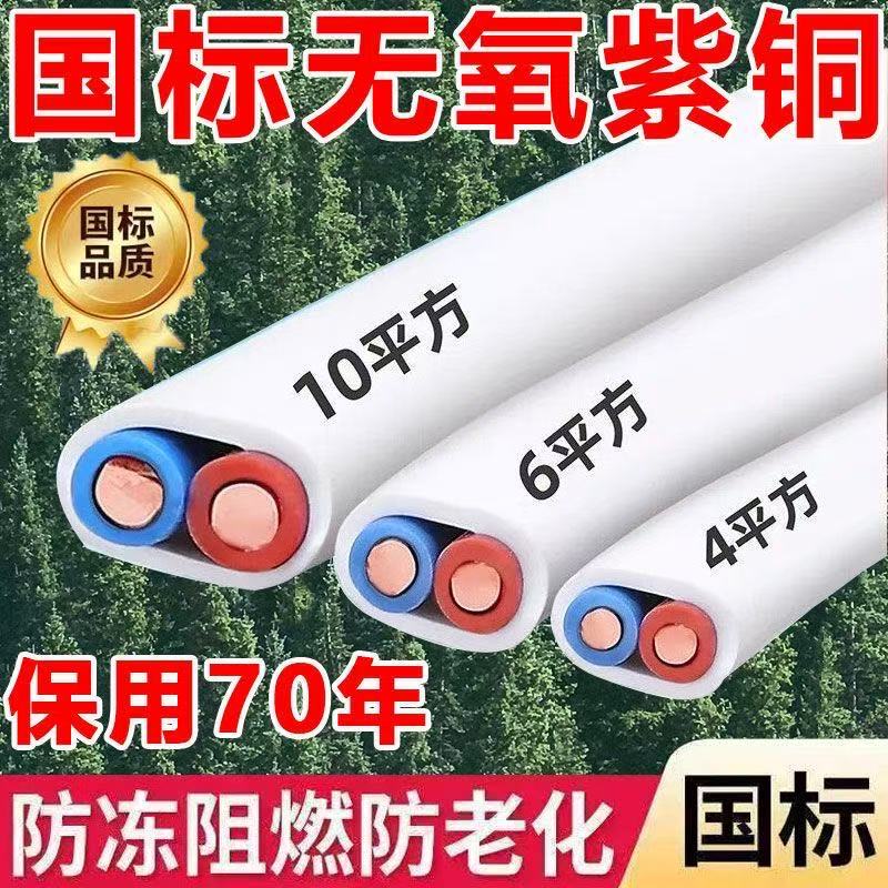 Zhujiang Pure Copper 2-Core Wire 2.546 Square mm Double-Core Hard Copper Wire Copper Core Power Sheathed Wire Power Cable 100m