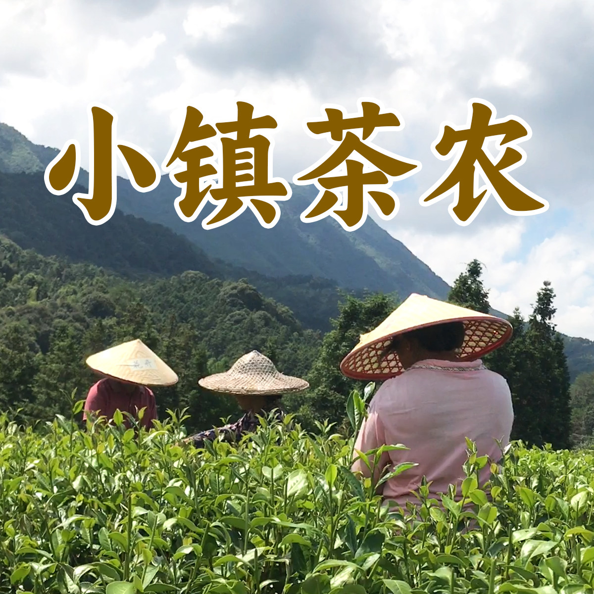 小镇茶农茶叶店