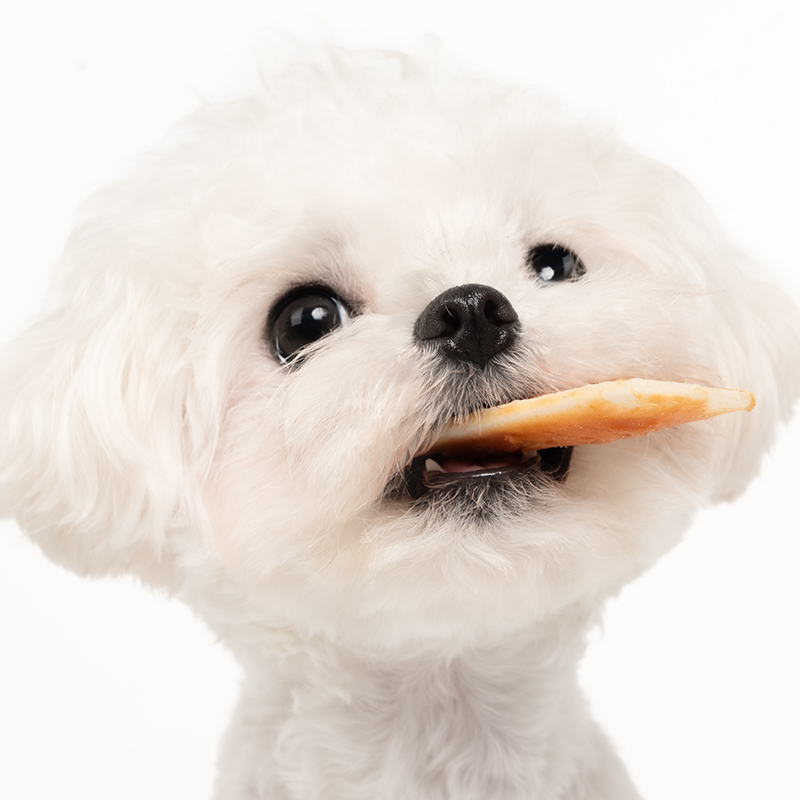 【U先试用 1片试用装*3袋】DINGO顶歌 小型犬用鸡肉味涂片磨牙棒